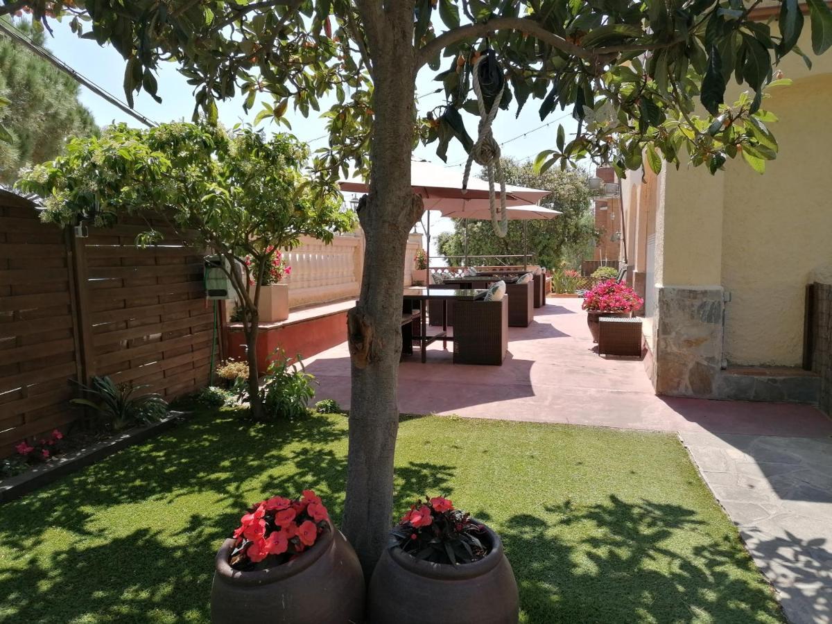 Cal Music Bed and breakfast Premià de Dalt