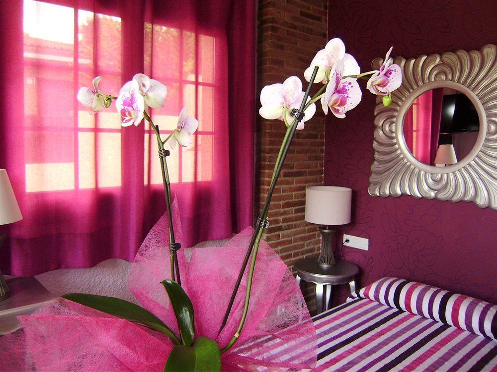Bed and breakfast Cal Music Premià de Dalt